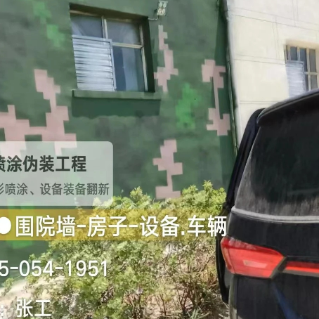 郴州数码迷彩漆施工